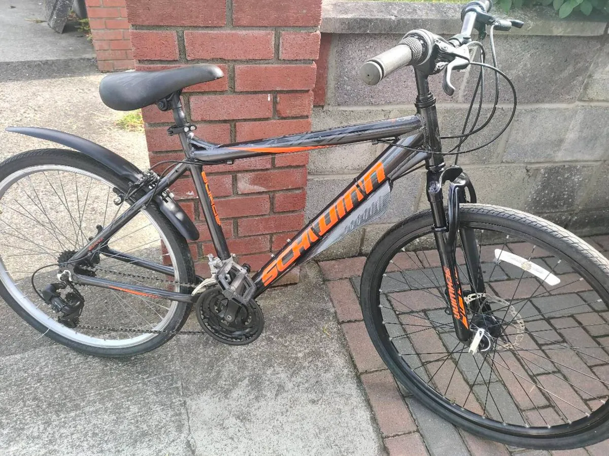Lady's & Gents Bikes - Image 1