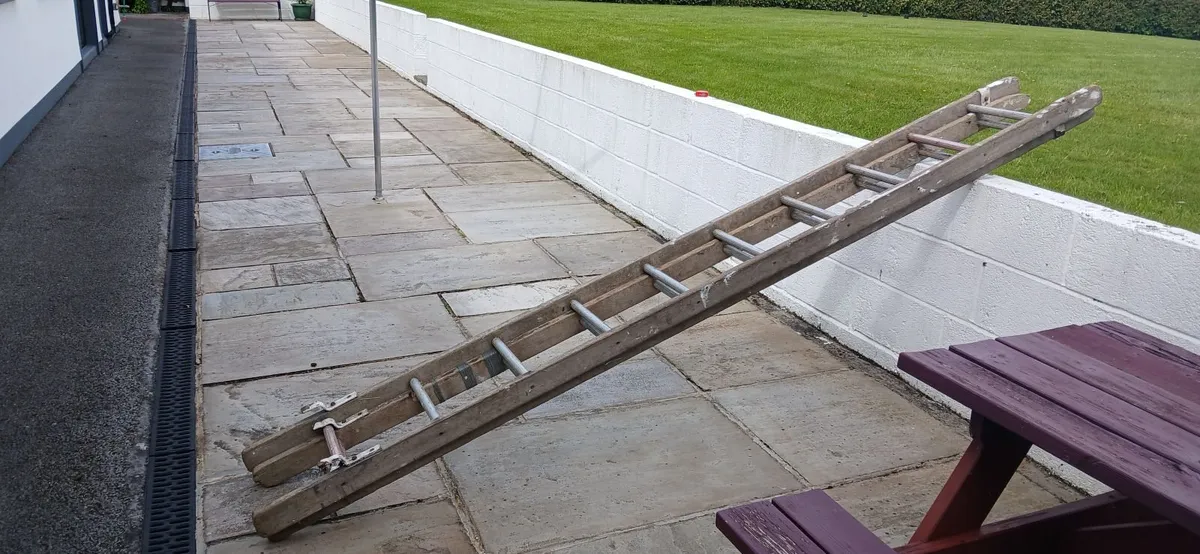 Extension ladder - Image 1