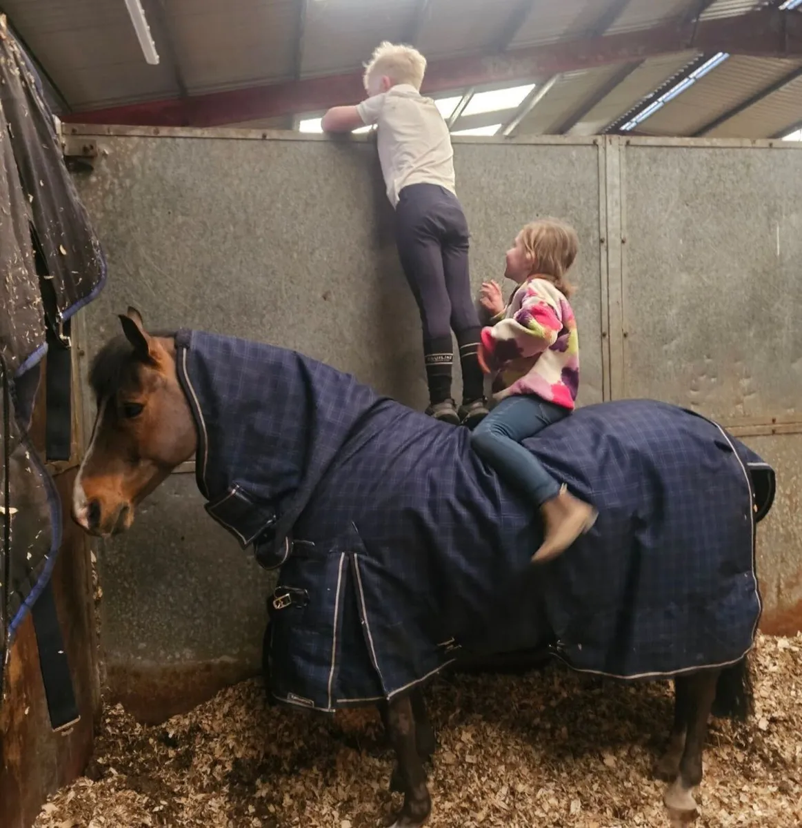 128 pony - Image 2