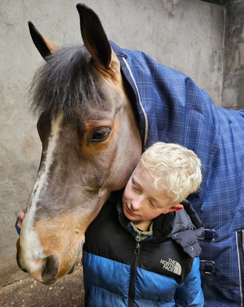 128 pony - Image 1