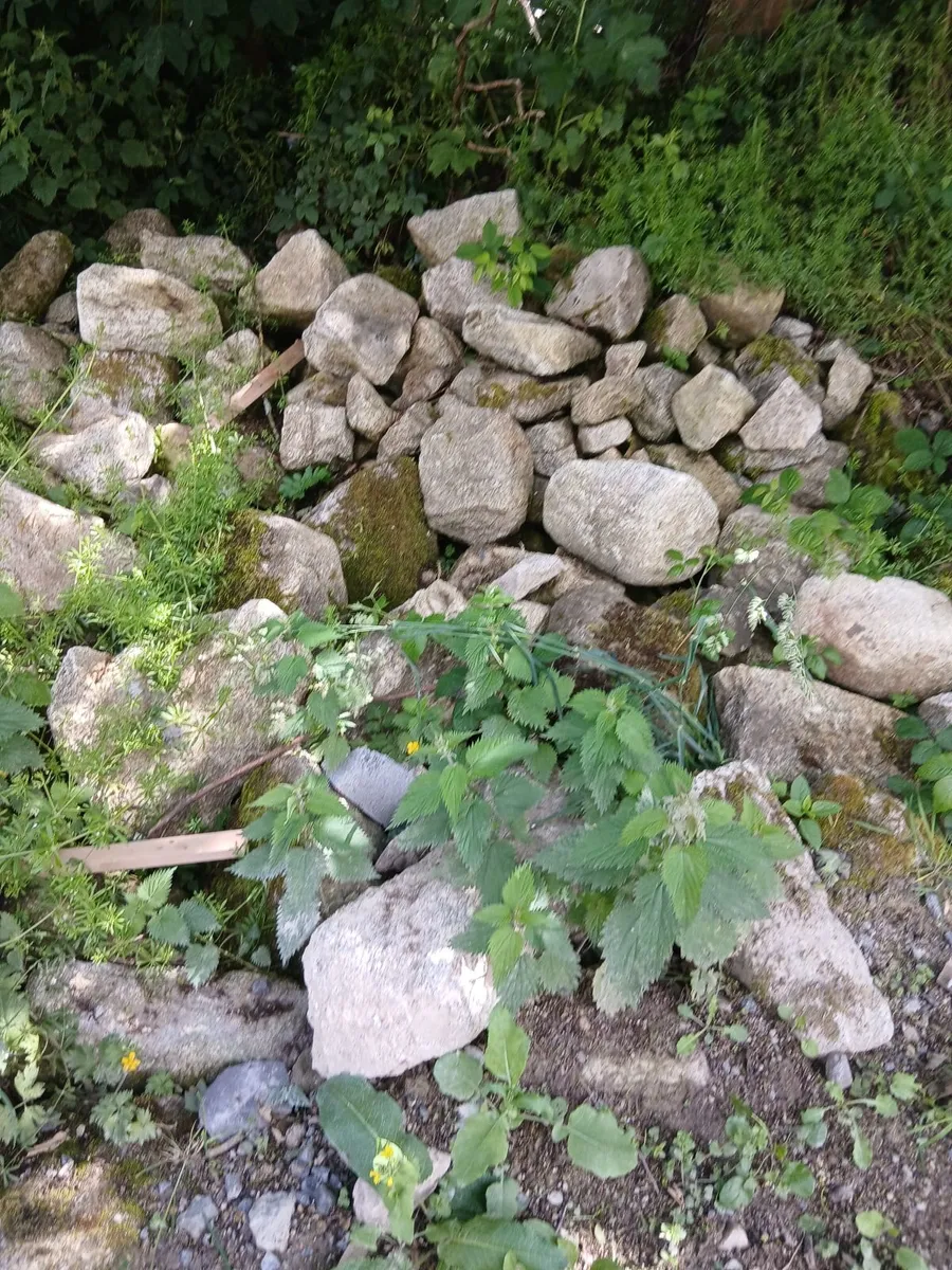 granite  stone - Image 2