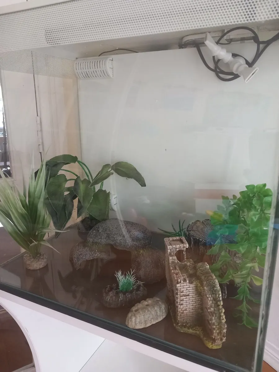 Fish tank - Image 3