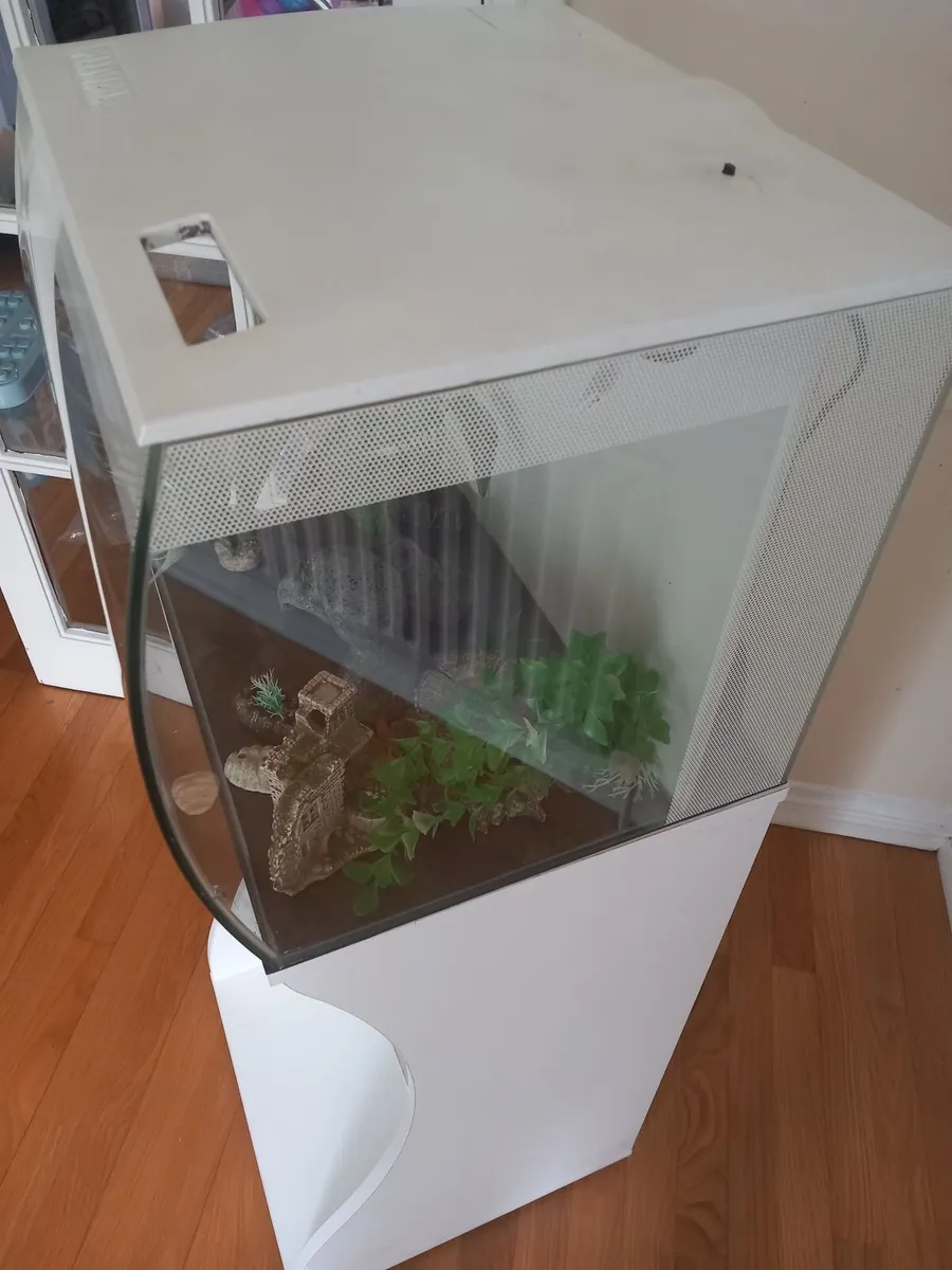 Fish tank - Image 4