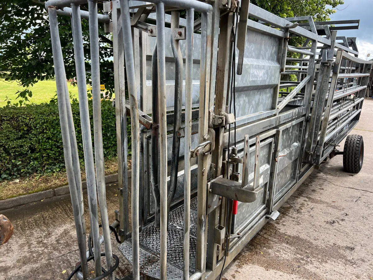 Cattle crush - Image 2