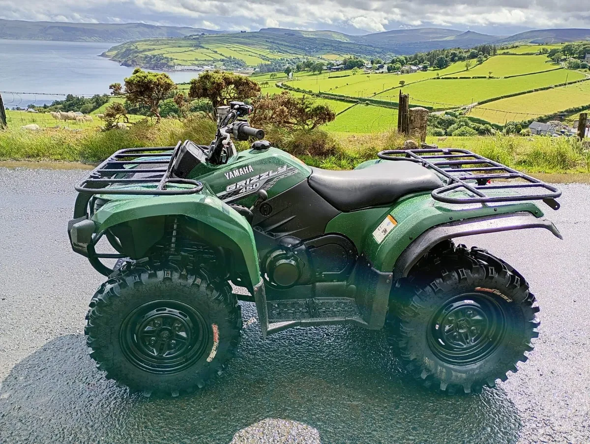 Yamaha Grizzly 450 - Image 4