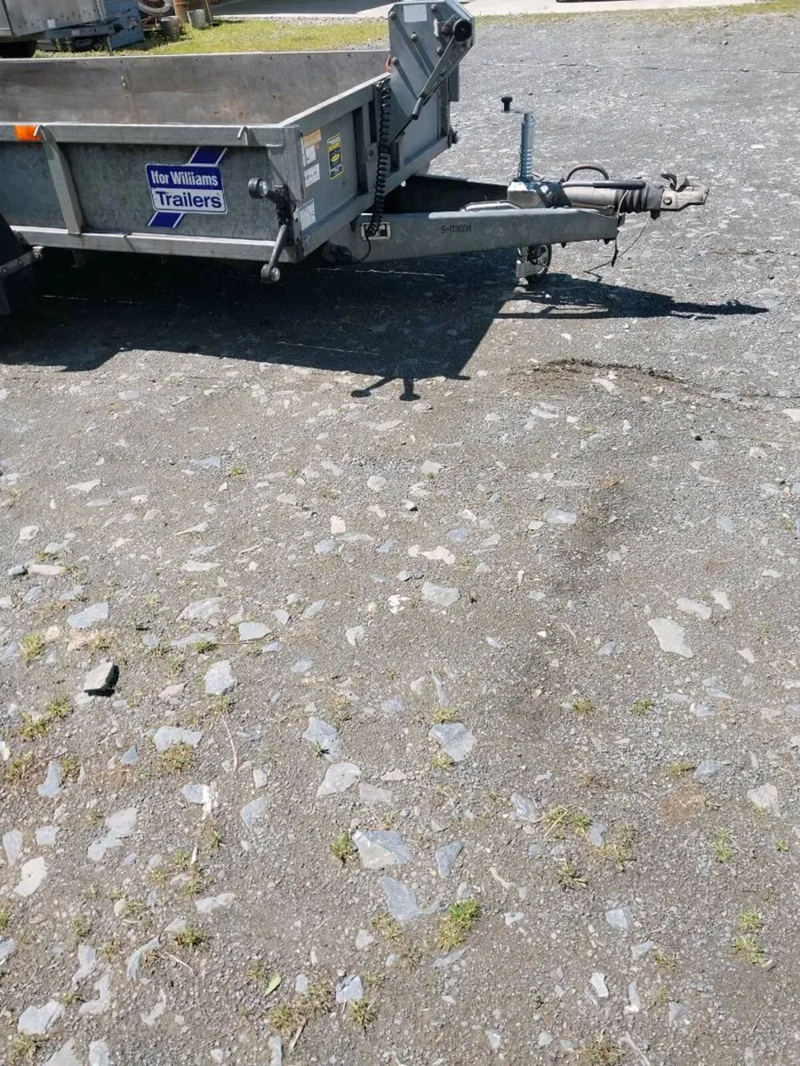 IVOR WILLIAMS PLANT TRAILER - Image 4