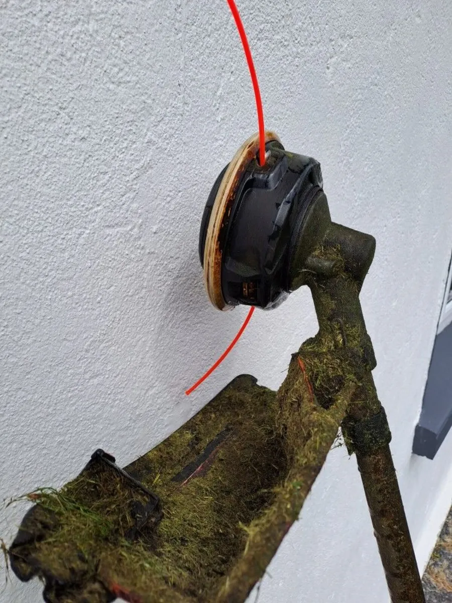 Stihl Fs 85 Strimmer ( Roscommon )   95 e - Image 3