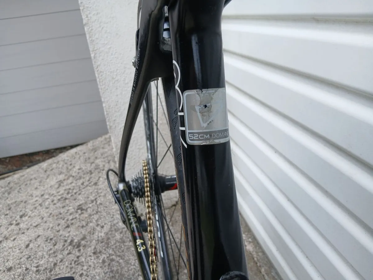 Trex Domane 4.0 - Image 3