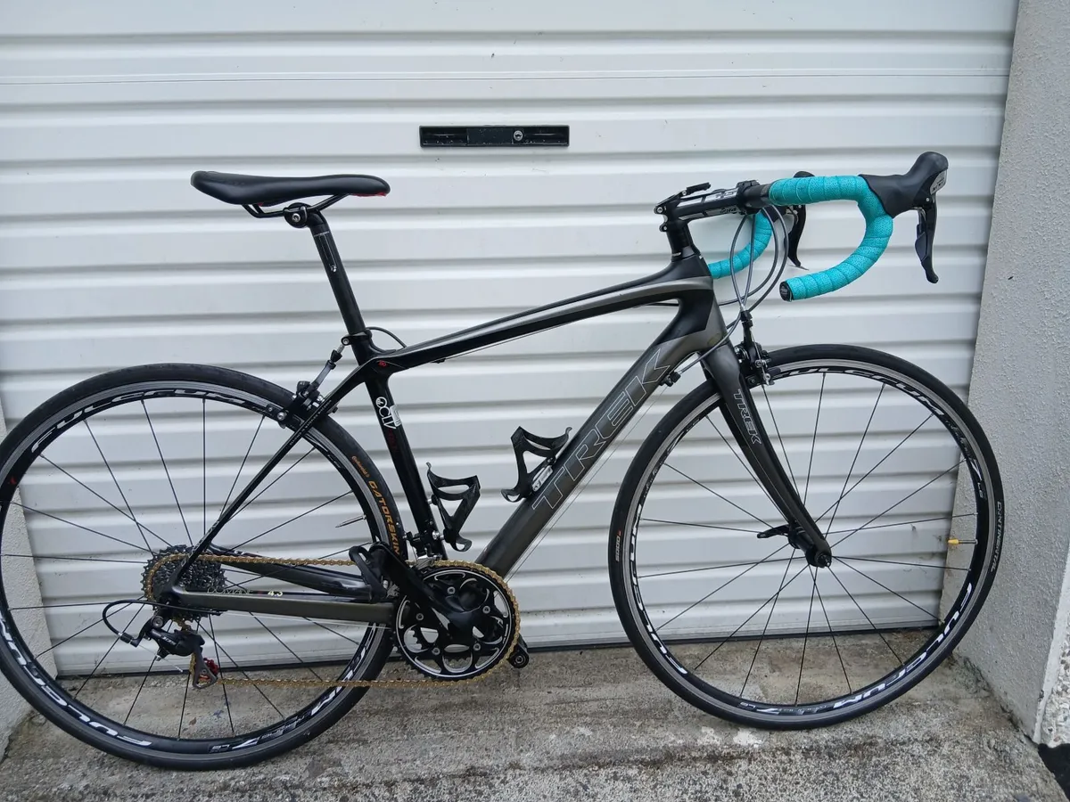 Trex Domane 4.0 - Image 2