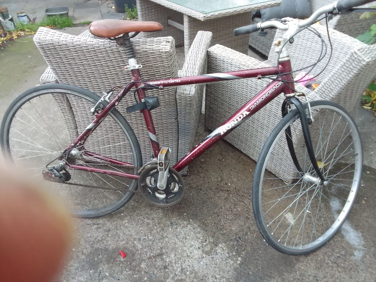 ADULT  bike for sale - Image 1