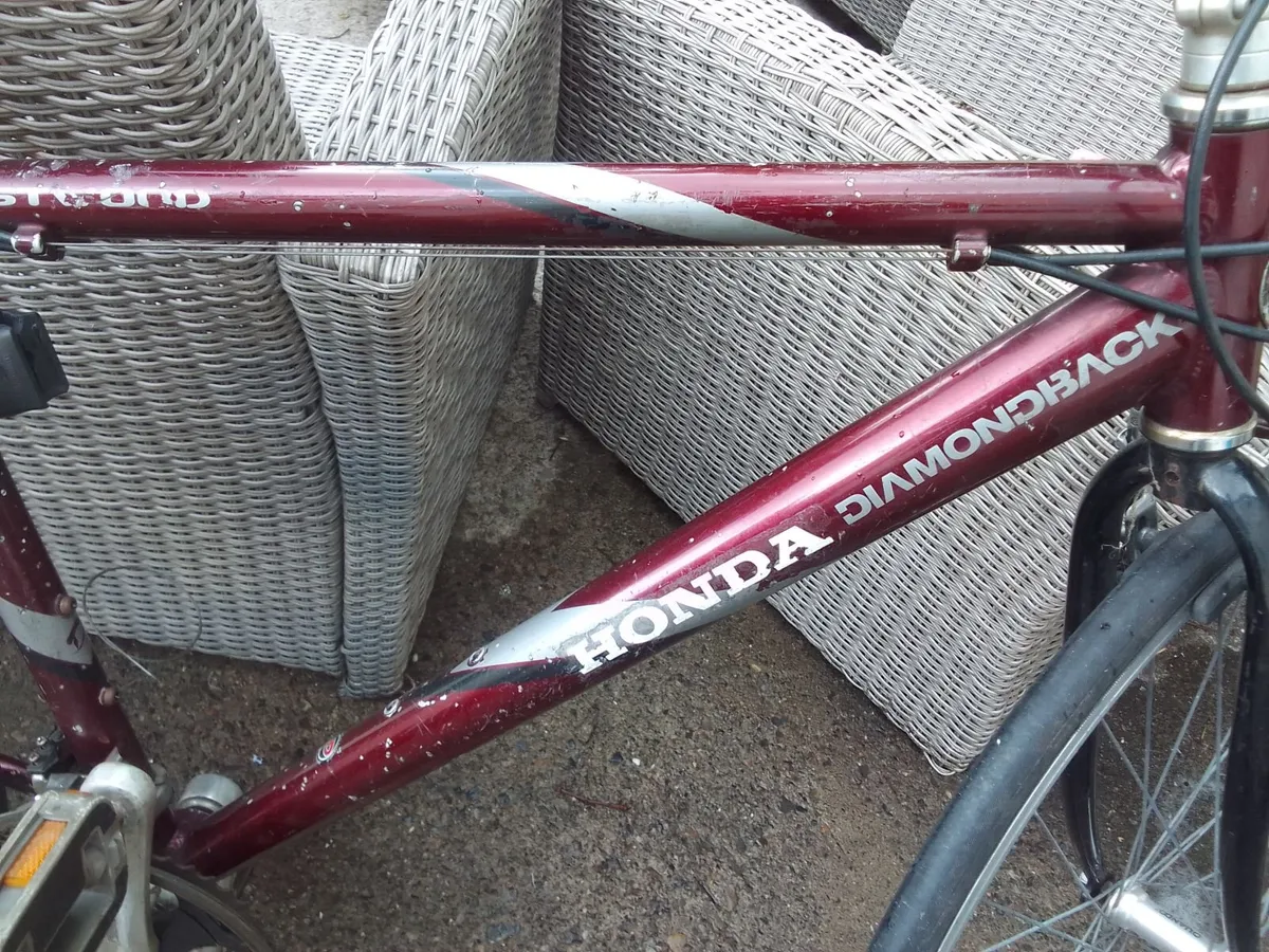 ADULT  bike for sale - Image 2
