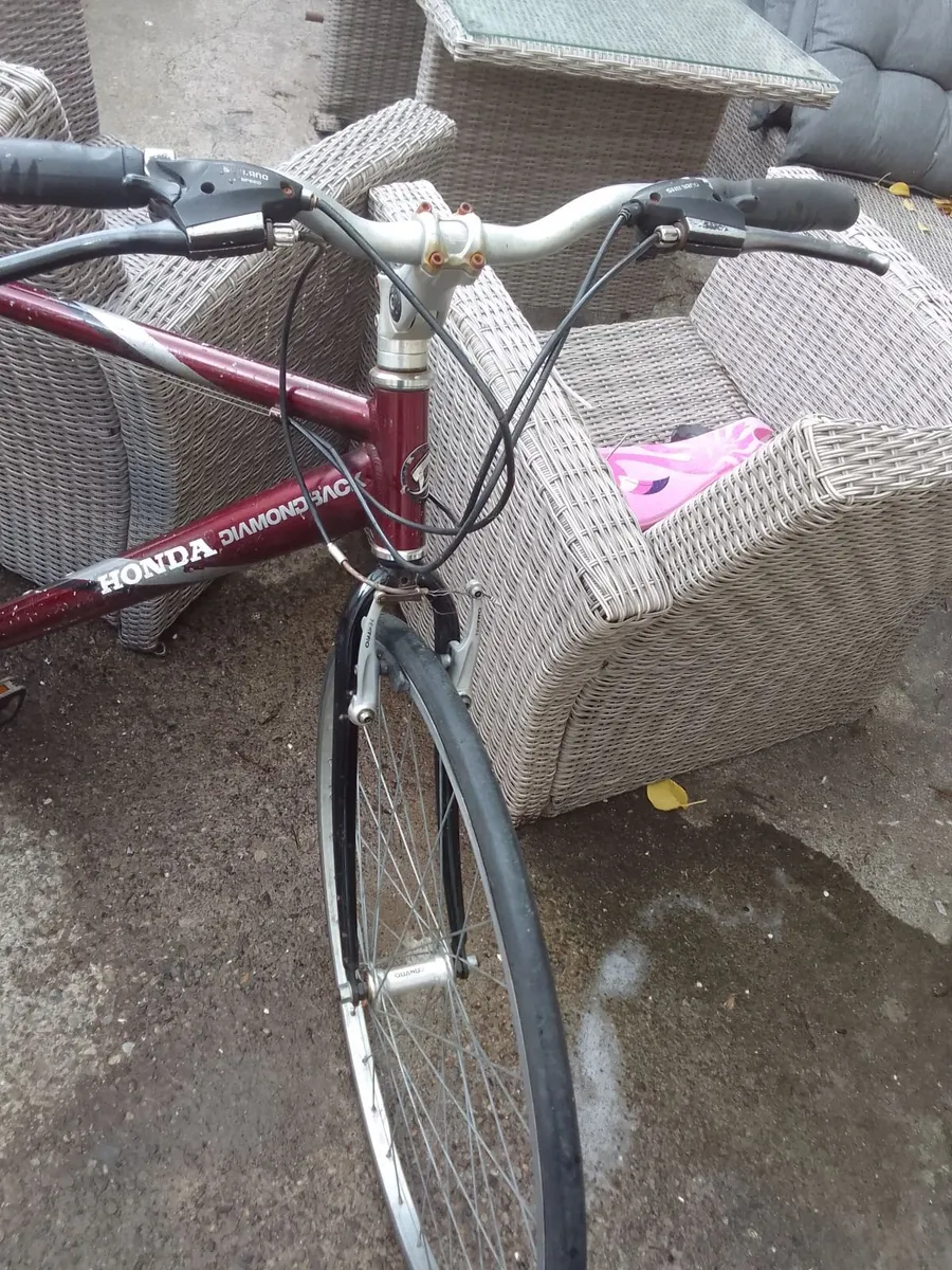 ADULT  bike for sale - Image 3