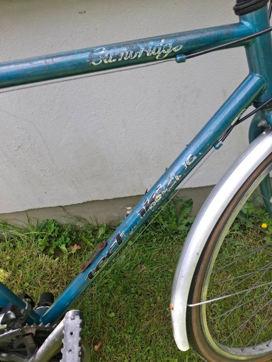 Bicycles - Image 2