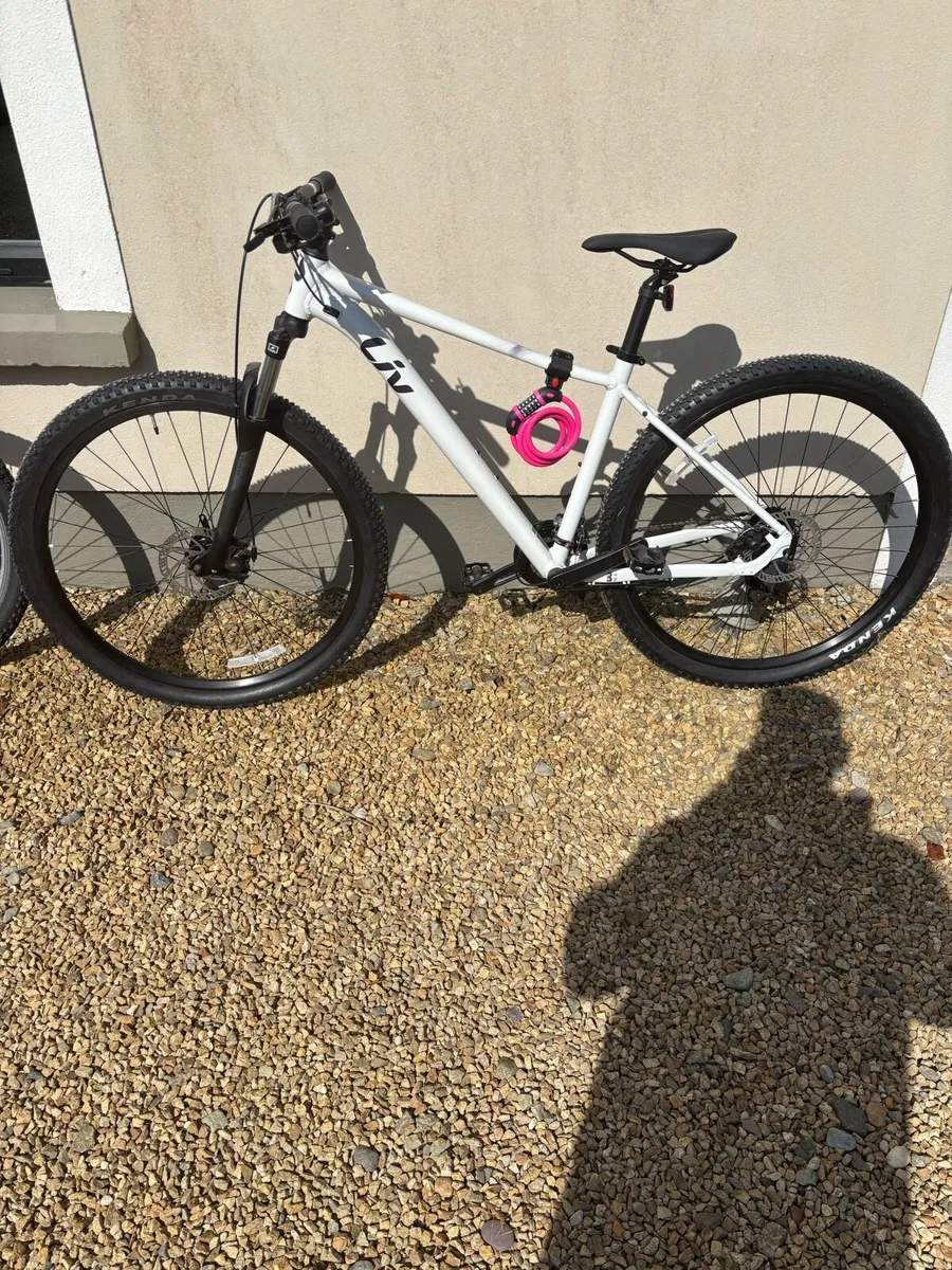 Mountain bikes - Image 1