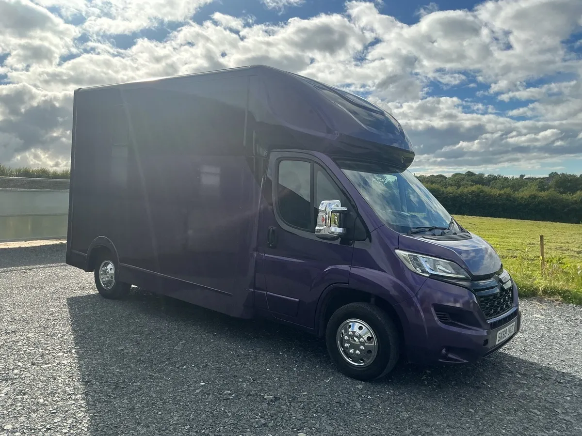 2019 Citroen horsebox - Image 3