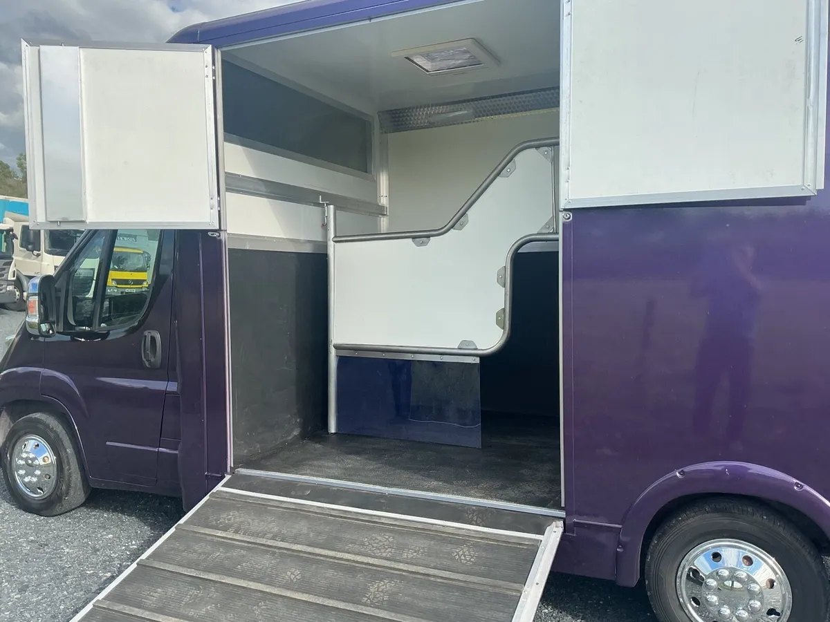 2019 Citroen horsebox - Image 4