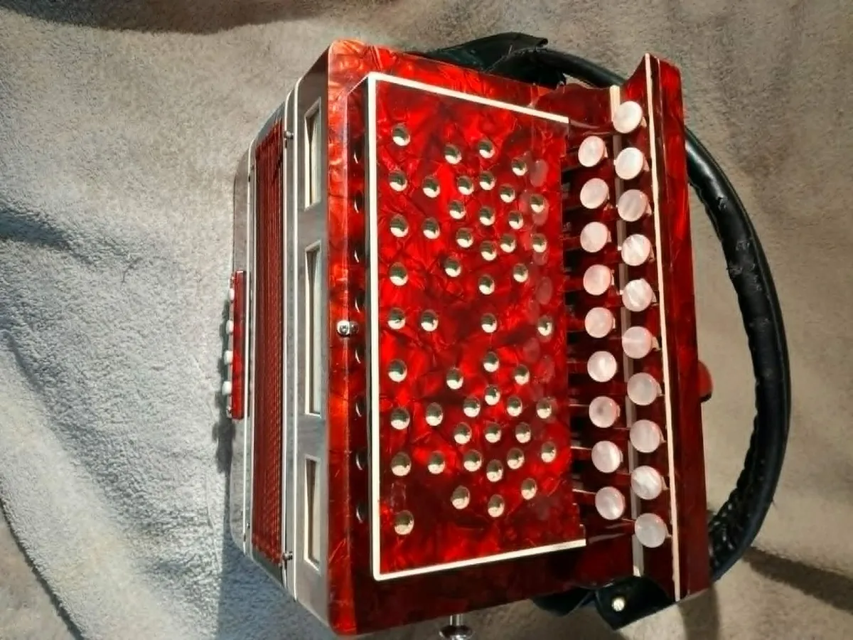 PAOLO SOPRANI & Figli  accordion - Image 2