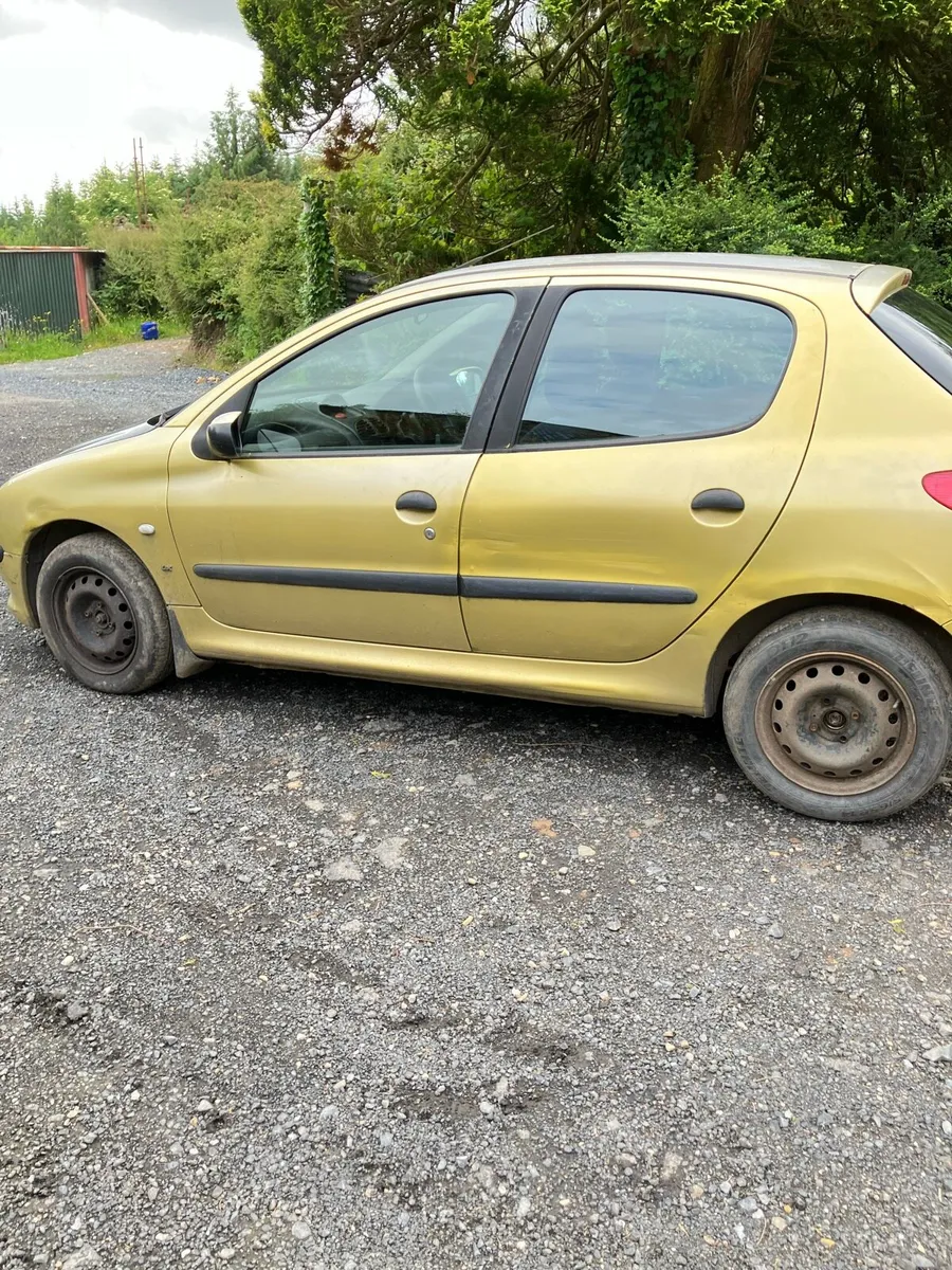 Peugeot 206 - Image 2