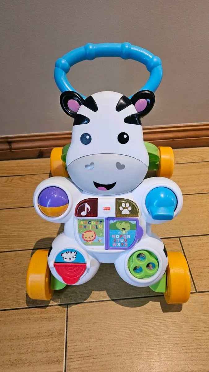 Zebra push walker - Image 1