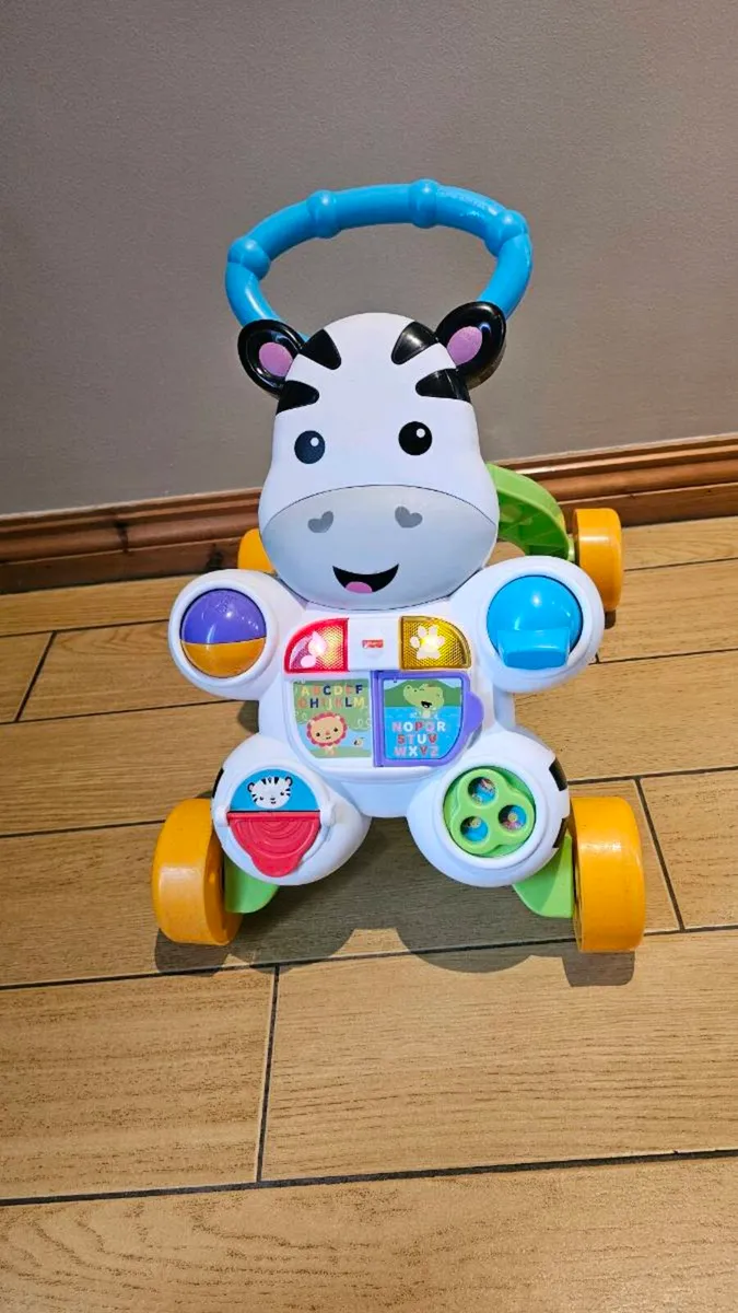 Zebra push walker - Image 2