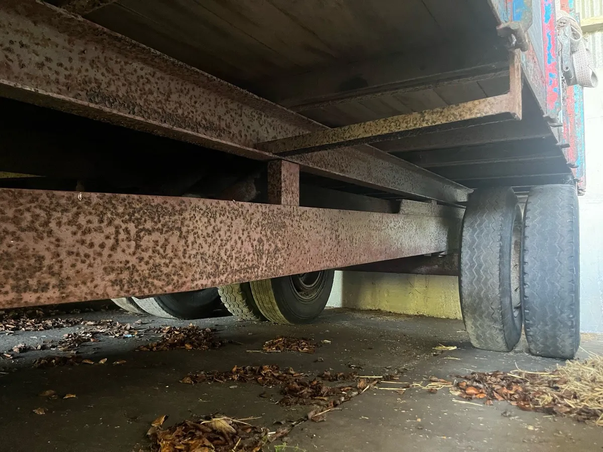 Grain / Turf Trailers 12T and 9T - Image 4
