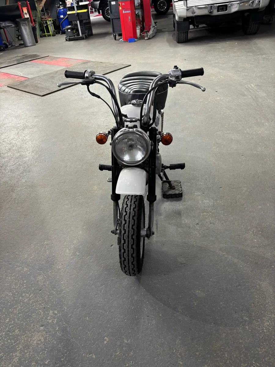 Honda Monkey 1985 - Image 2