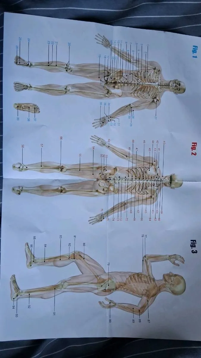 Tens/Ems therapy device - Image 2