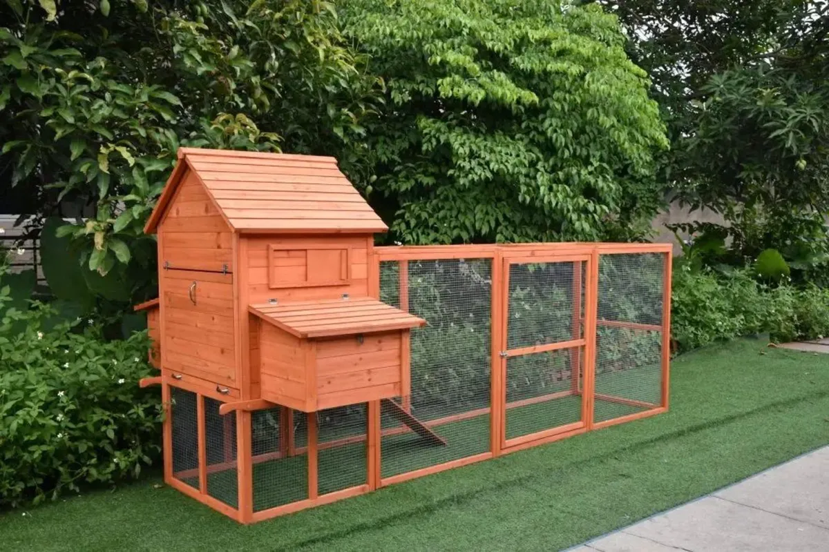 Large Chicken Coop 6-9 Birds Natural Wood - Image 1