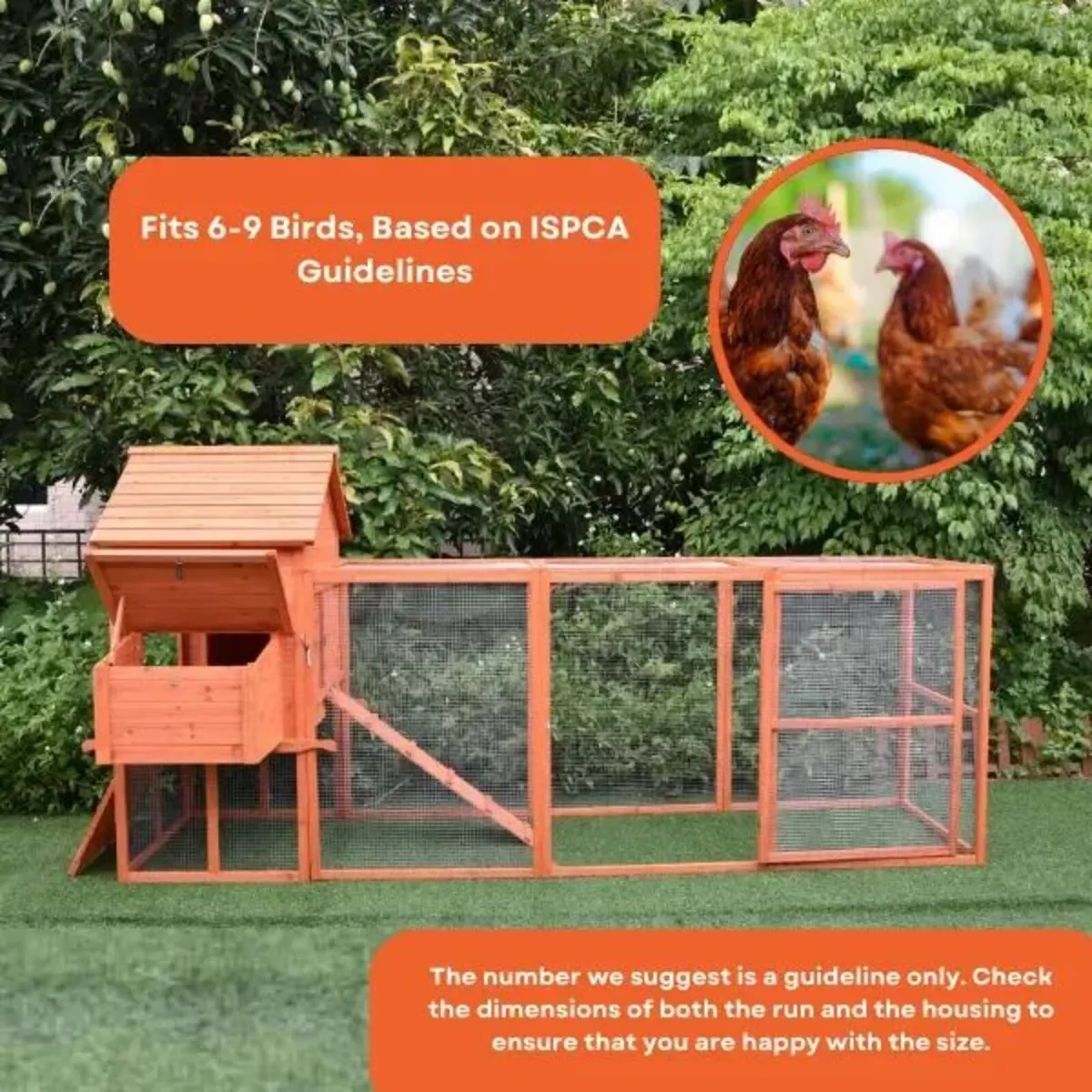 Large Chicken Coop 6-9 Birds Natural Wood - Image 2