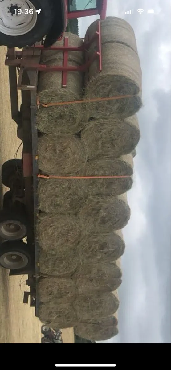 2025 HAY - Image 1