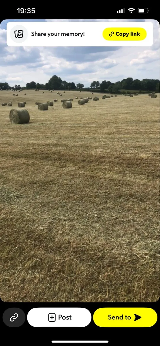 2025 HAY - Image 2