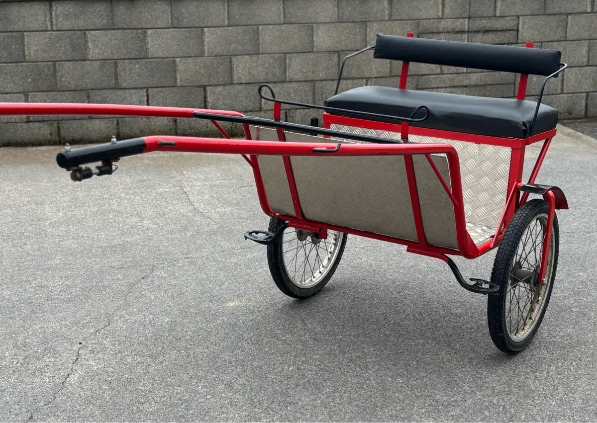 New Road cart - Image 2