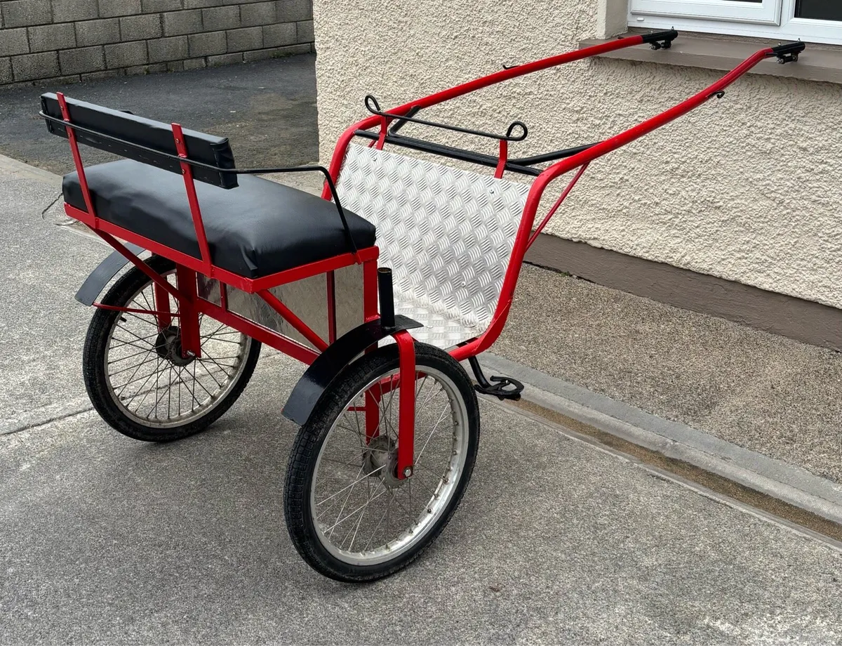 New Road cart - Image 3