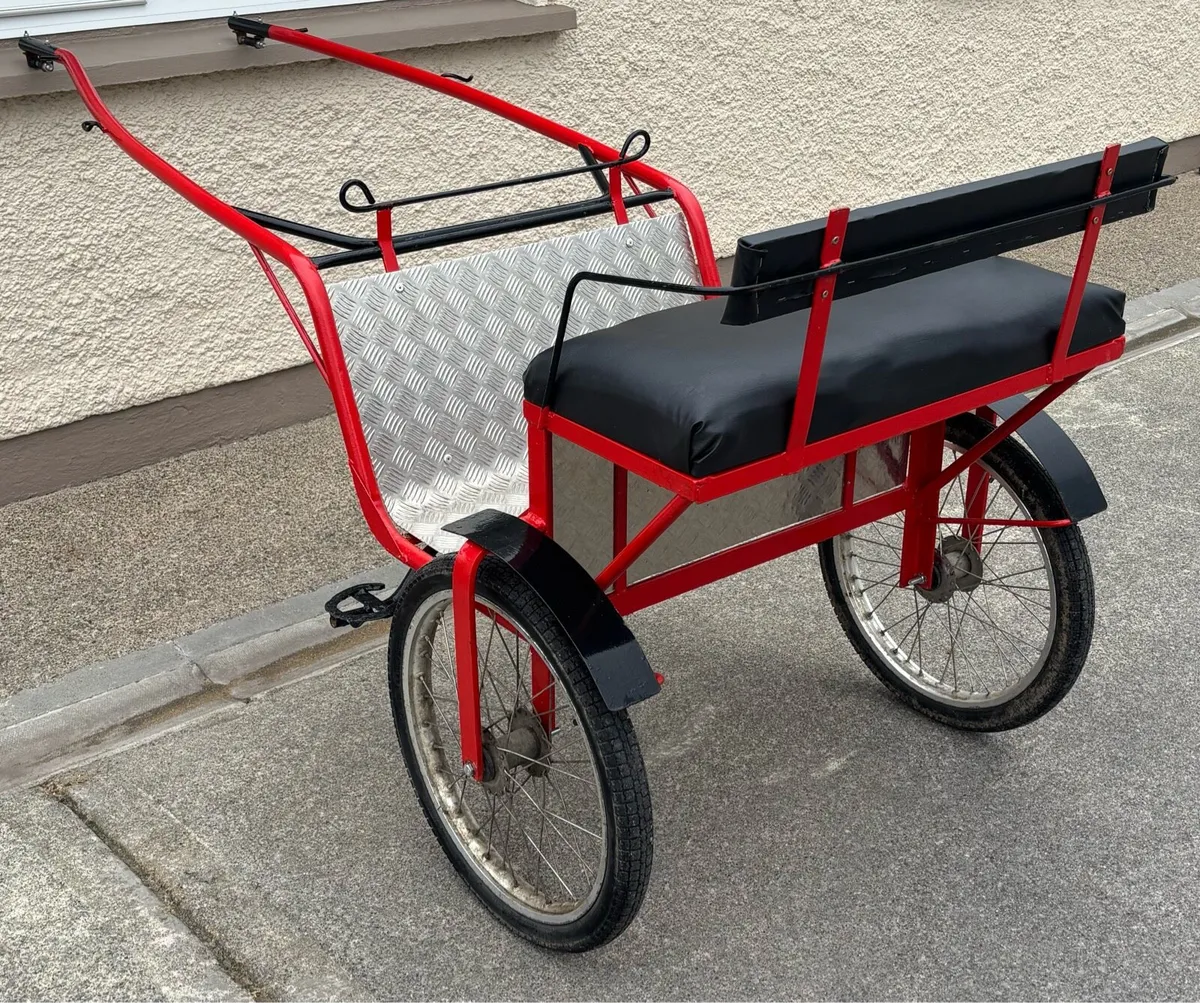 New Road cart - Image 4