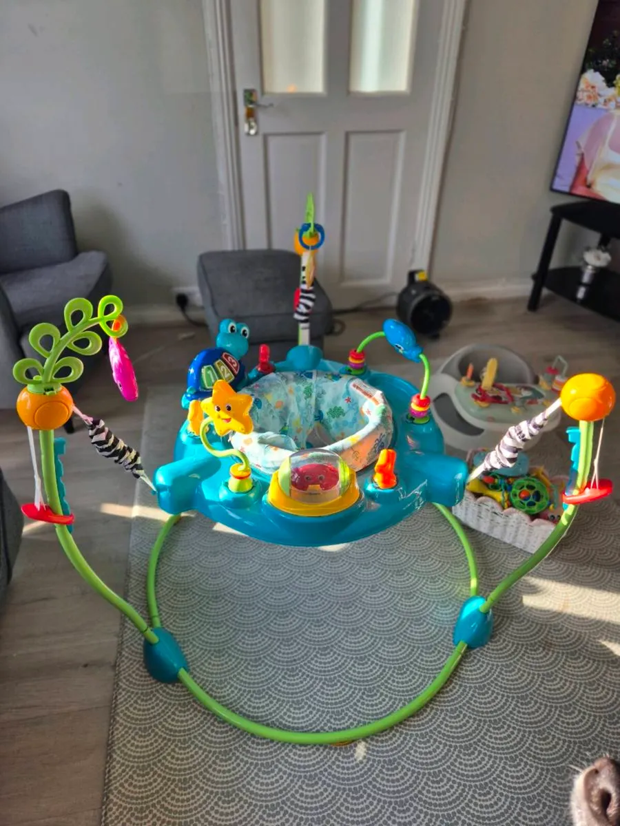 Baby Einstein Jumperoo - Image 1