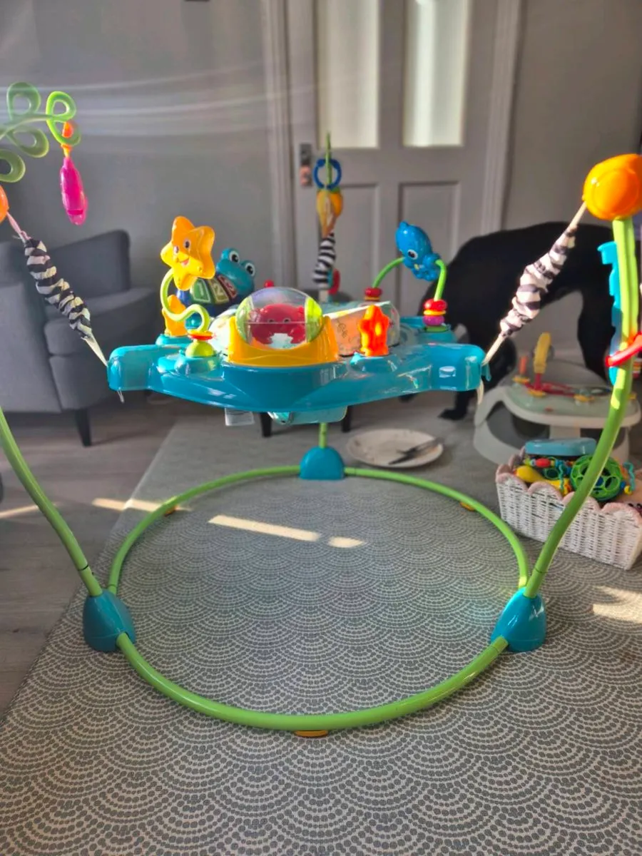 Baby Einstein Jumperoo - Image 2
