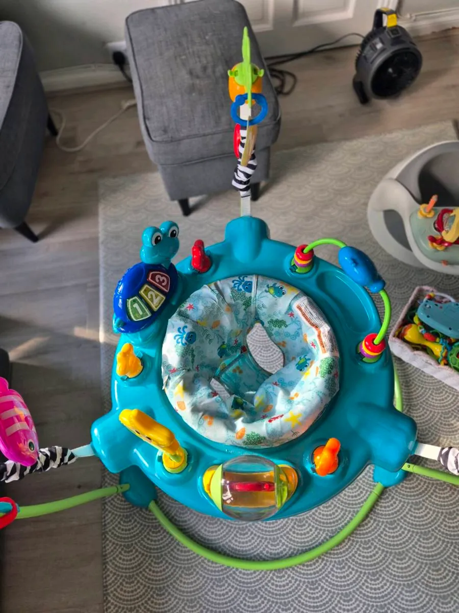 Baby Einstein Jumperoo - Image 3