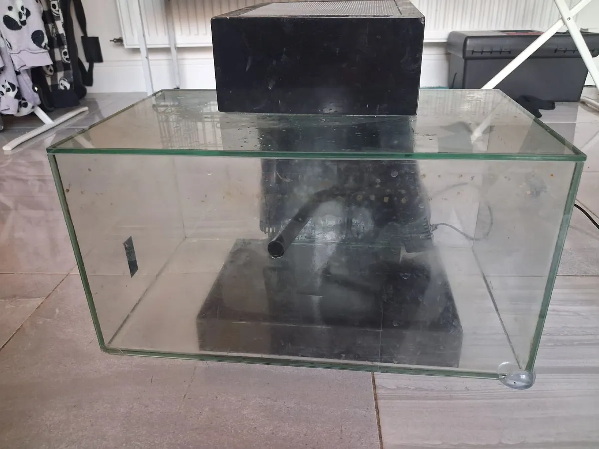 Fish tank - Image 2