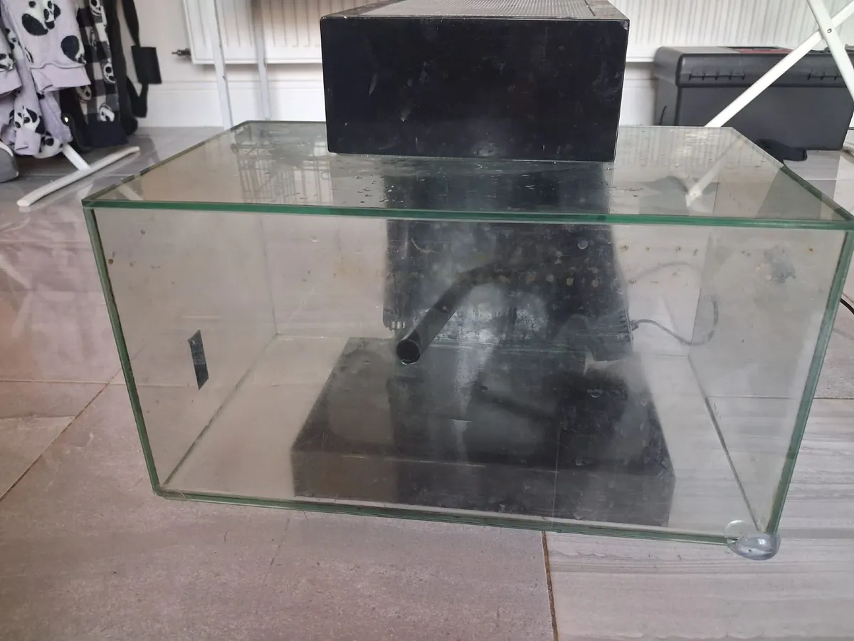 Fish tank - Image 3