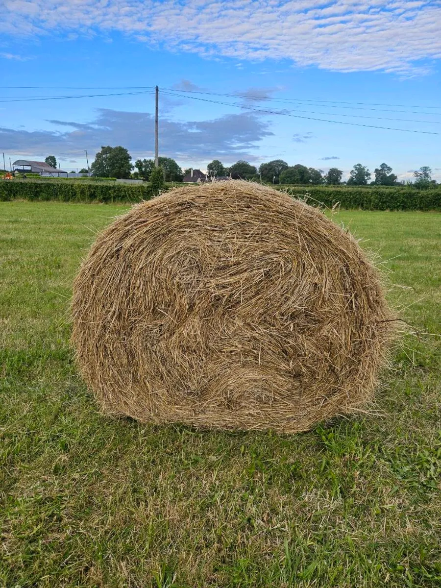 Hay bales - Image 3