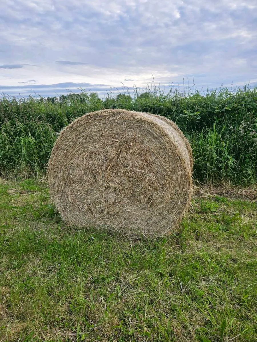 Hay bales - Image 4