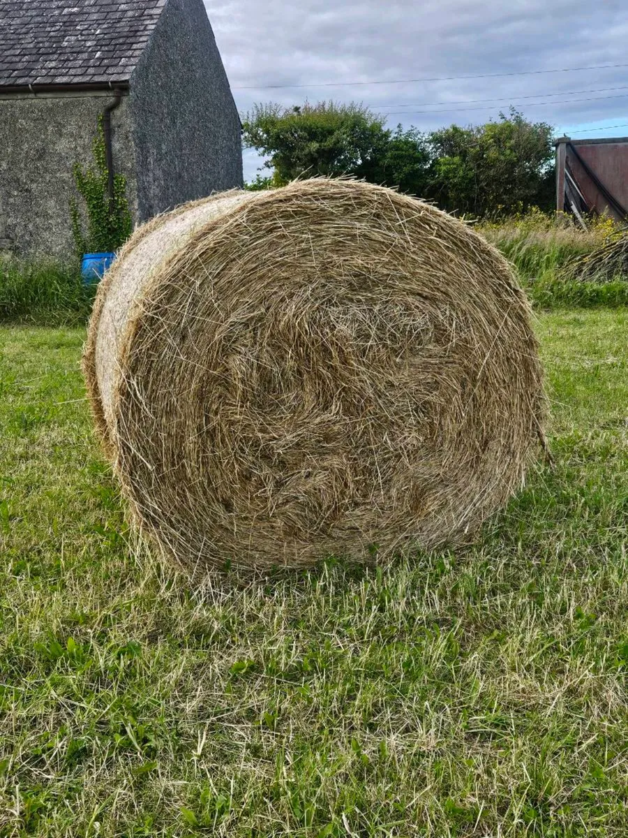 Hay bales - Image 1