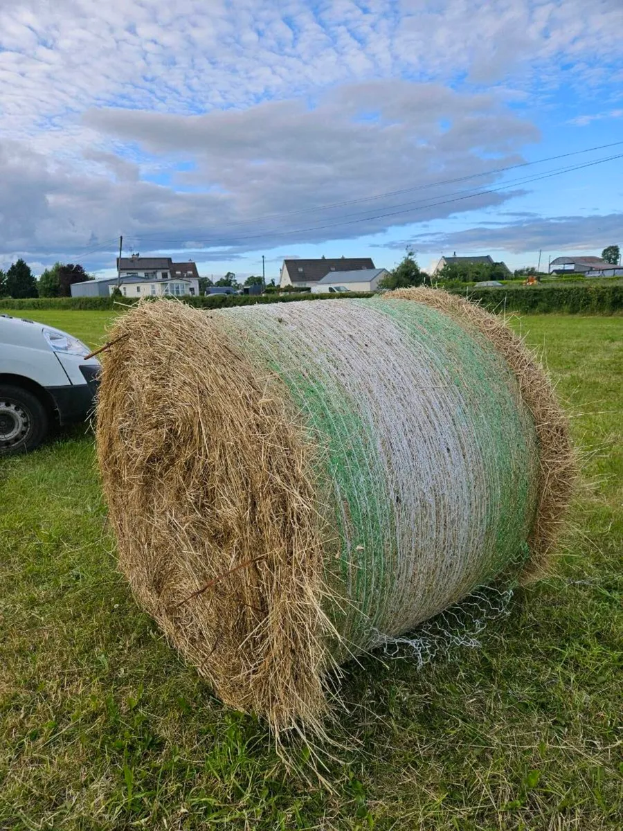 Hay bales - Image 2