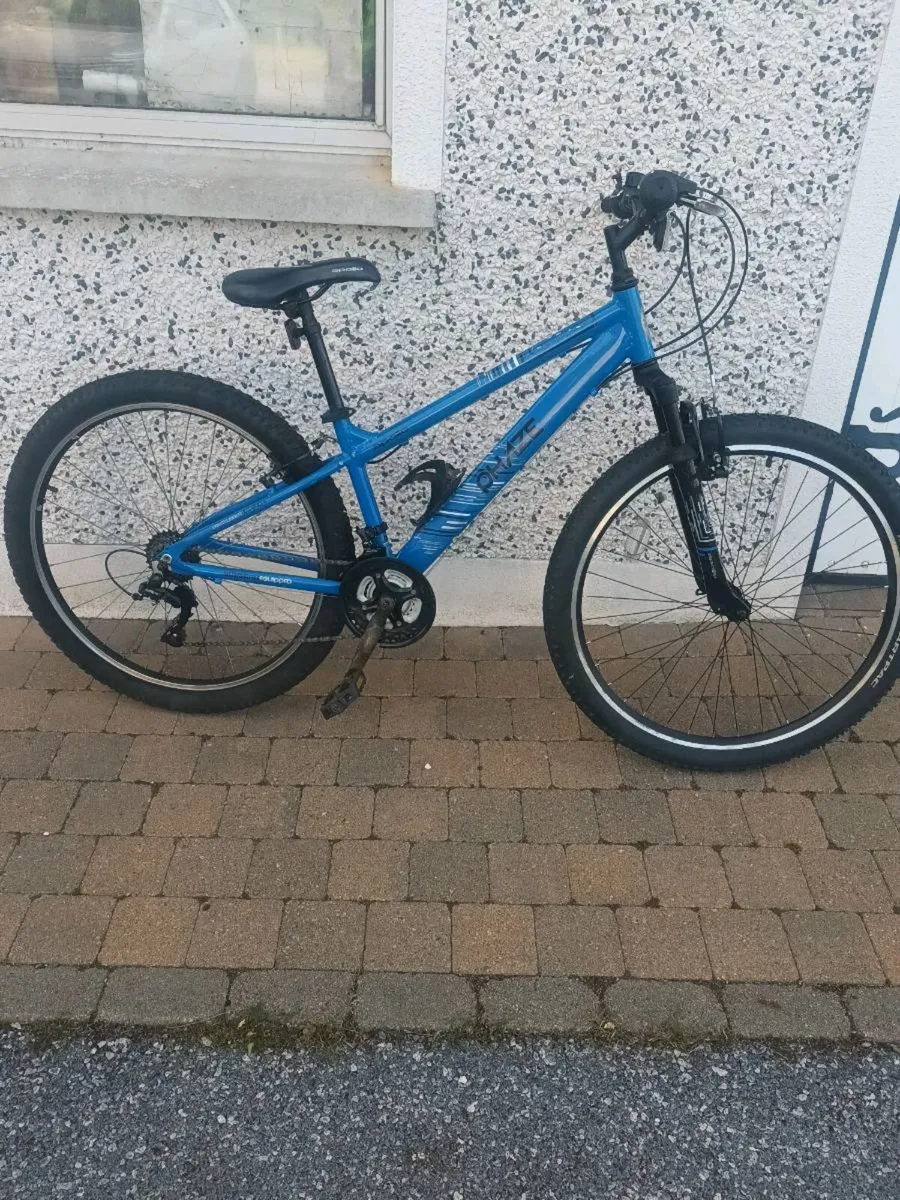 Bike - Image 1