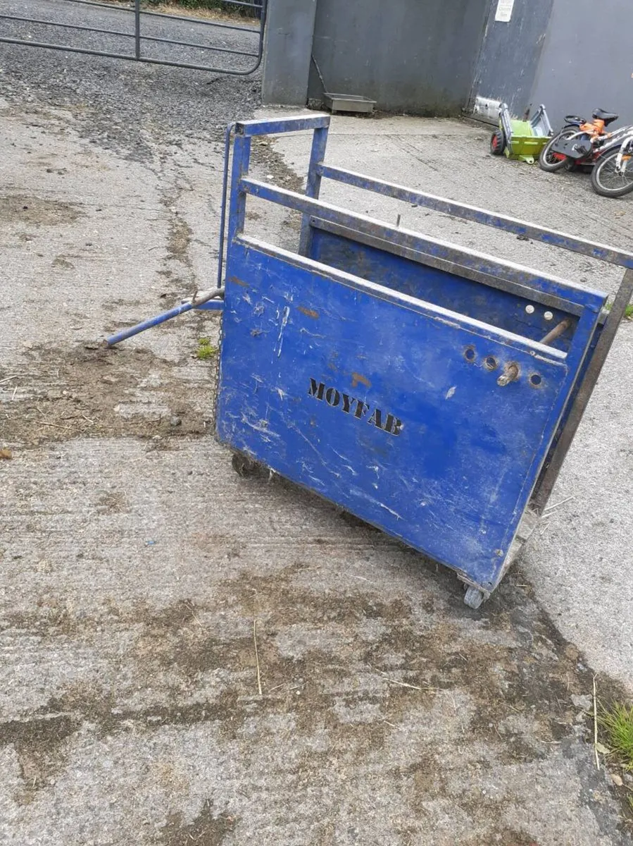 Dehorning crate
