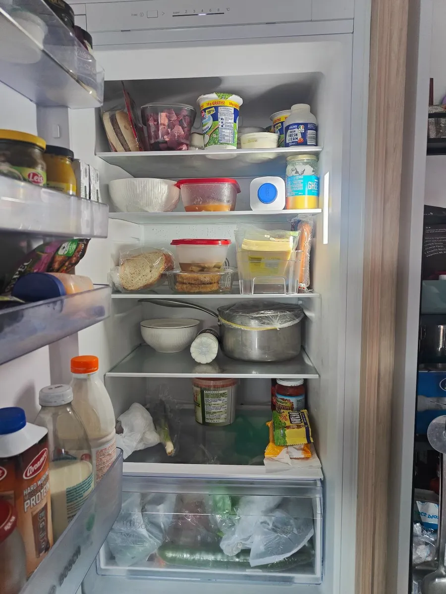 Bosch Built-in Fridge - Image 3