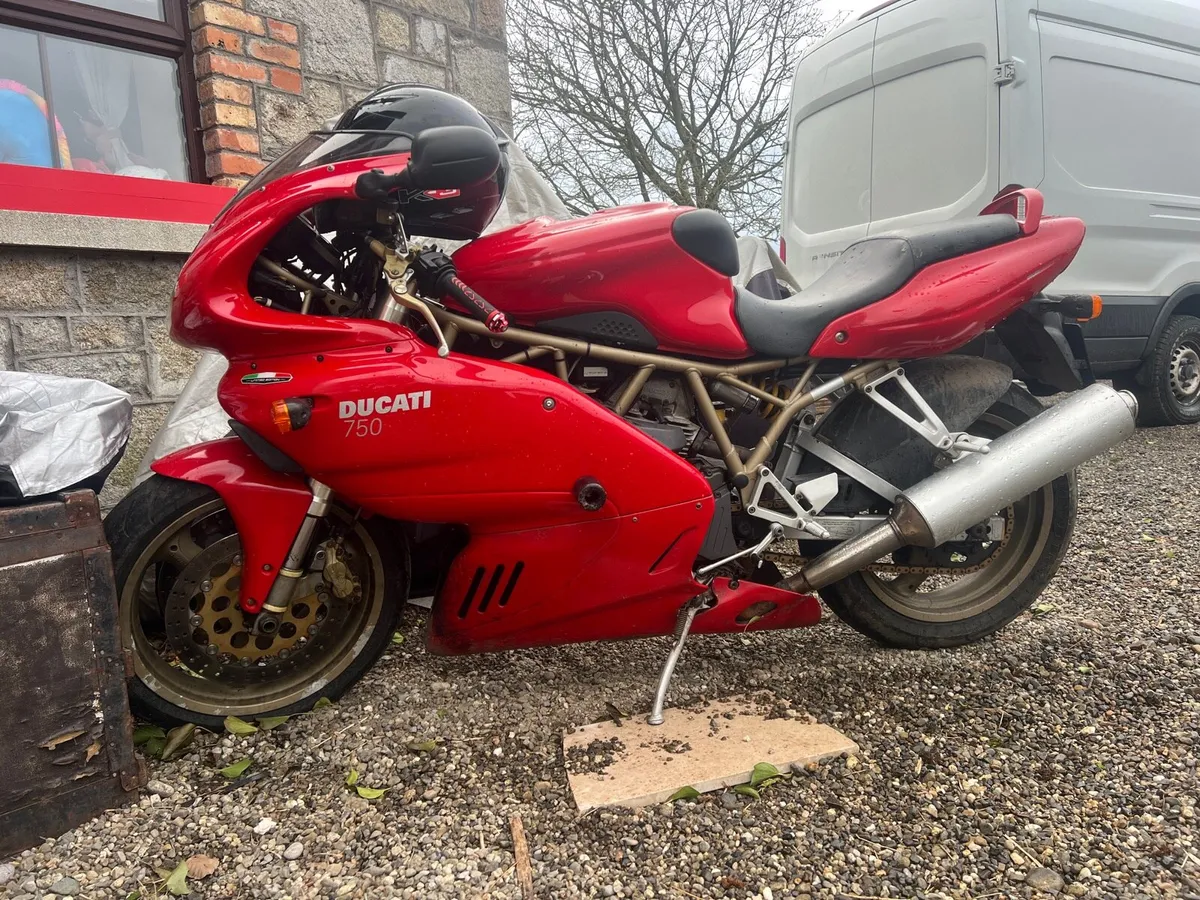 Ducati ss - Image 2