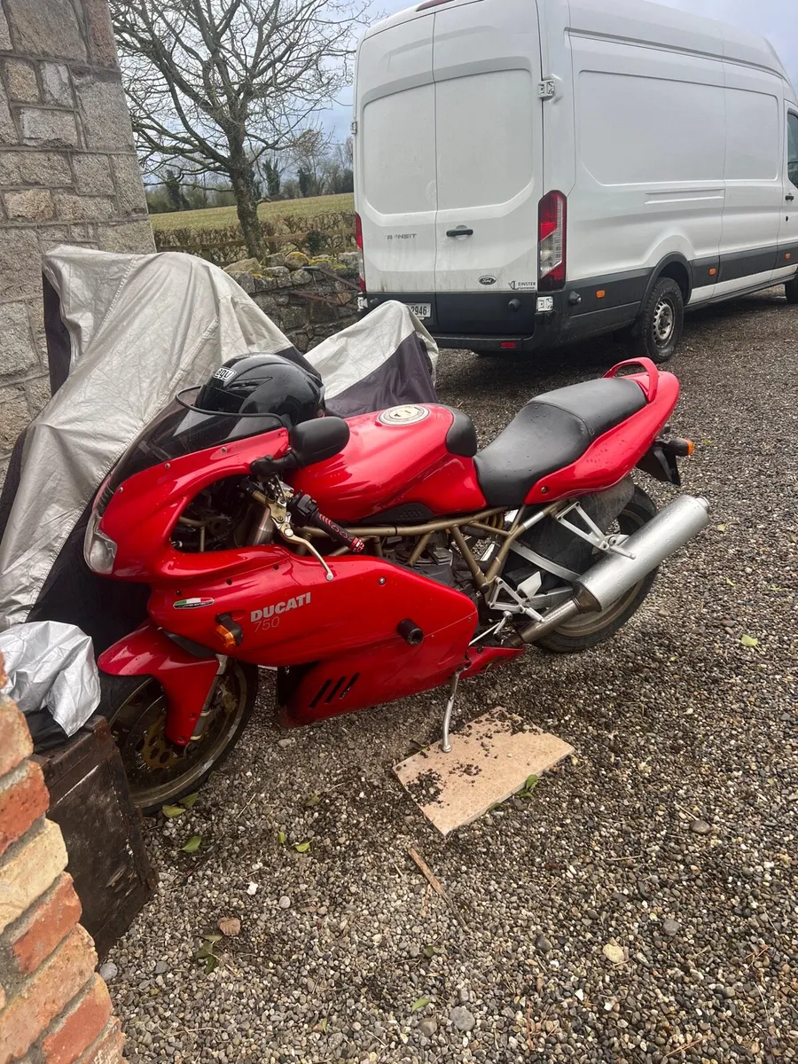 Ducati ss - Image 3