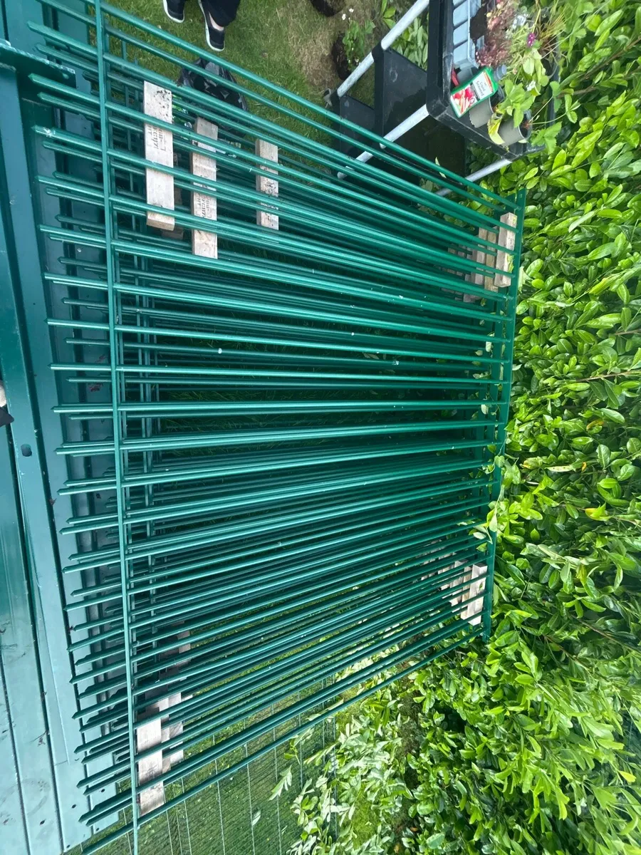 Fencing - Image 1