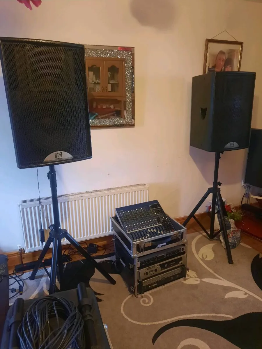 Martin Audio Black Line F15+Power Amplifier Crown - Image 2